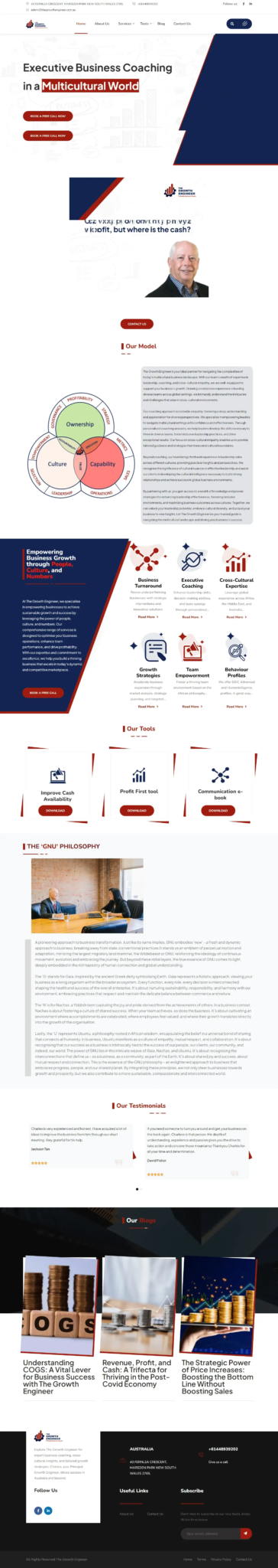 A professional website layout for "Executive Business Coaching in a Different Way" featuring a smiling person, diagrams, text sections, testimonials, services, and images of business-related icons and activities, all styled with a clean, modern design in red, white, and blue.