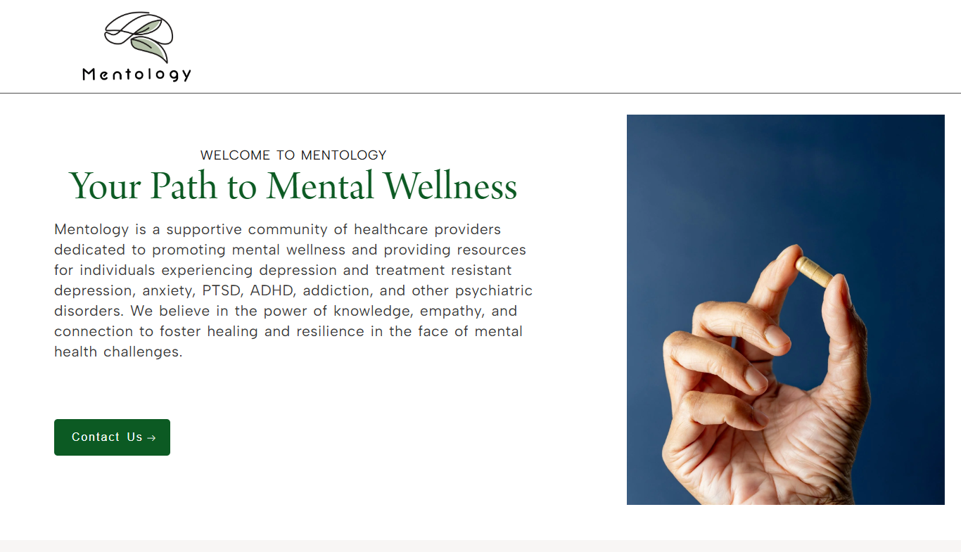 Portfolio of our developed site mentology in wordpress.